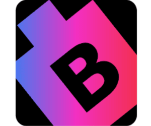 BitsWits New York – Mobile App Development Company