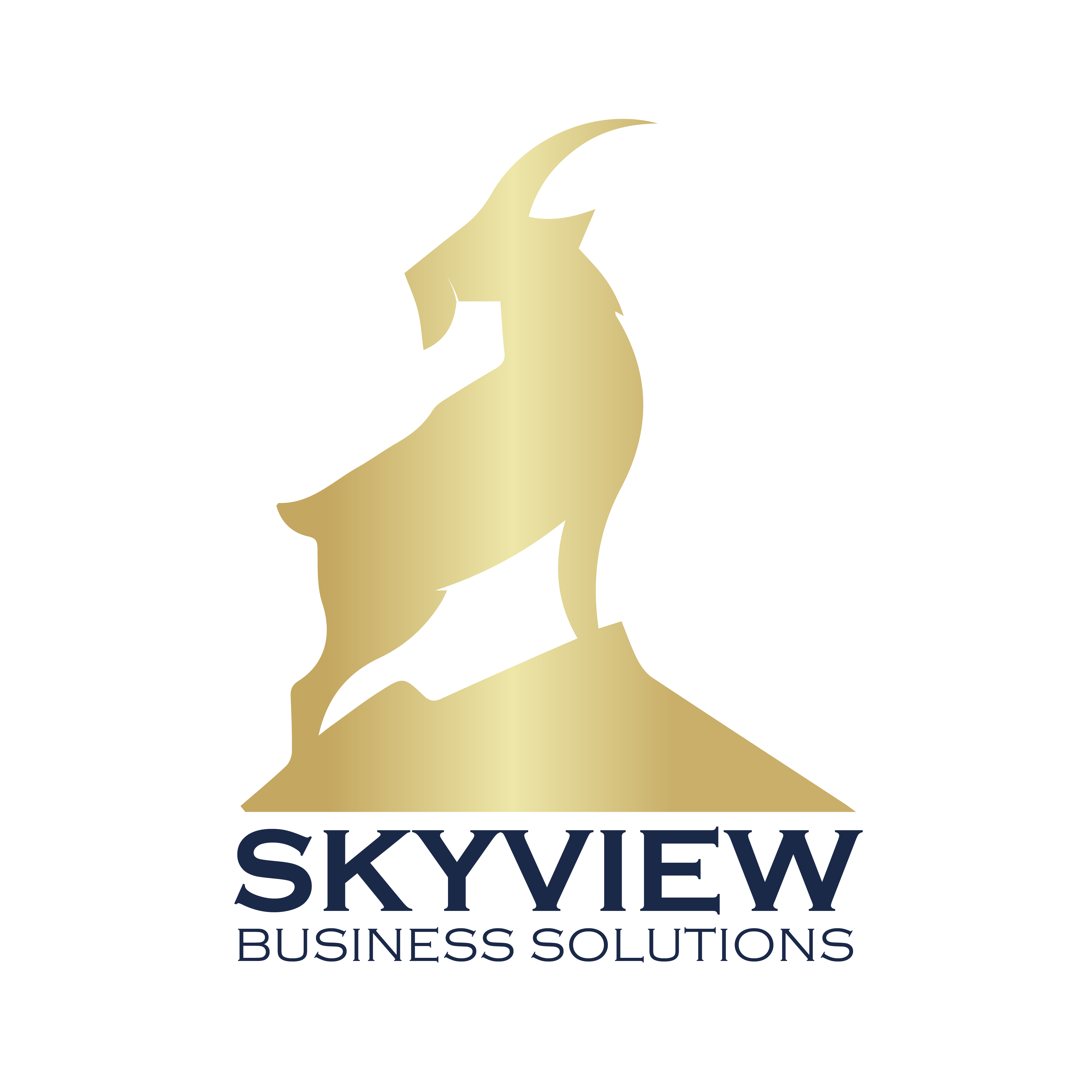 Skyview Business Solutions