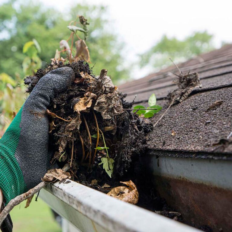 Leaky Roof Repair Specialist