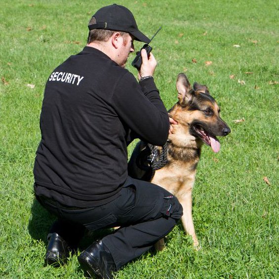 Leadedge Security Services