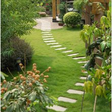 Affordable Landscape &amp; Maintenance