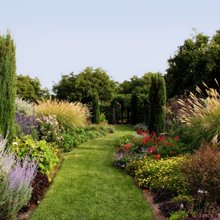 Affordable Landscape &amp; Maintenance