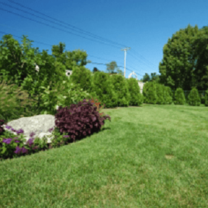 Rainy Day Irrigation &amp; Landscaping